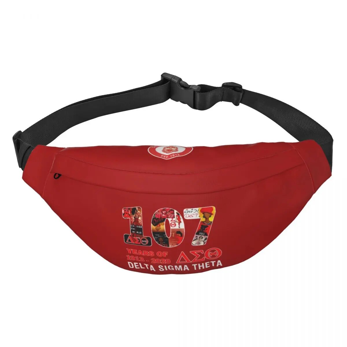 Sac Banane Delta Sigma Theta Anniversaire